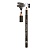 Фотография  БЕЛИТА LUXURY BROW Карандаш для бровей, тон 605 Deep Brown