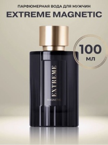 Фотография  DILIS Парфюмированная вода для мужчин "EXTREME MAGNETIC" (Экстрим Магнетик) 100 мл