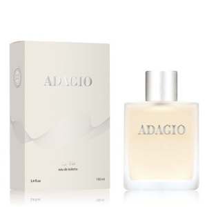 Фотография Dilis Parfum Туалетная вода • Для мужчин • Adagio • Адажио • 100мл