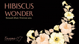 Фотография новости Hibiscus Wonder