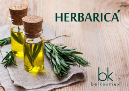 Фотография новости Hebarica