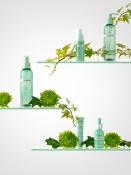 Фотография линейки ANTI-ACNE PRO  косметики CLAIRE 